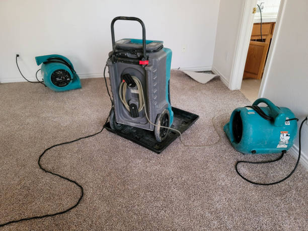 Water damage restoration experts in OK
