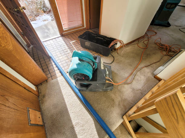 Best Emergency water damage restoration  in Maysville, OK